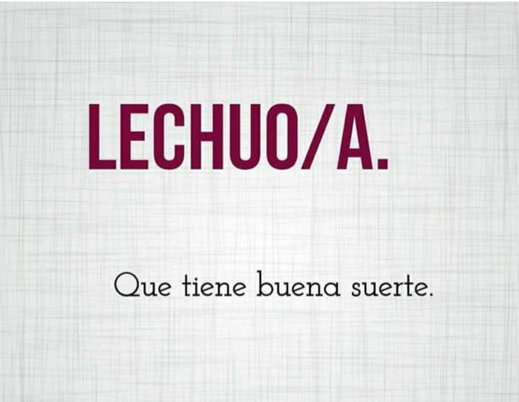 Venezuelan slang lessons - culture and more